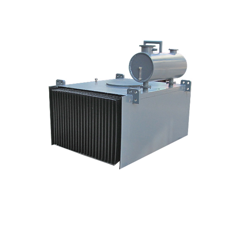 RCDE Oil-cooled Electromagnetic Iron Remover